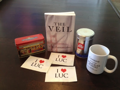 YA Giveaway Package: The Veil by Cory Putnam Oakes