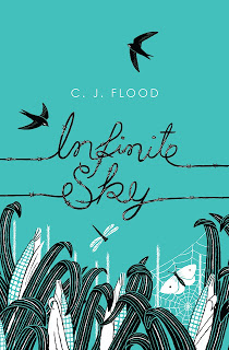 New Voice: C.J. Flood on Infinite Sky