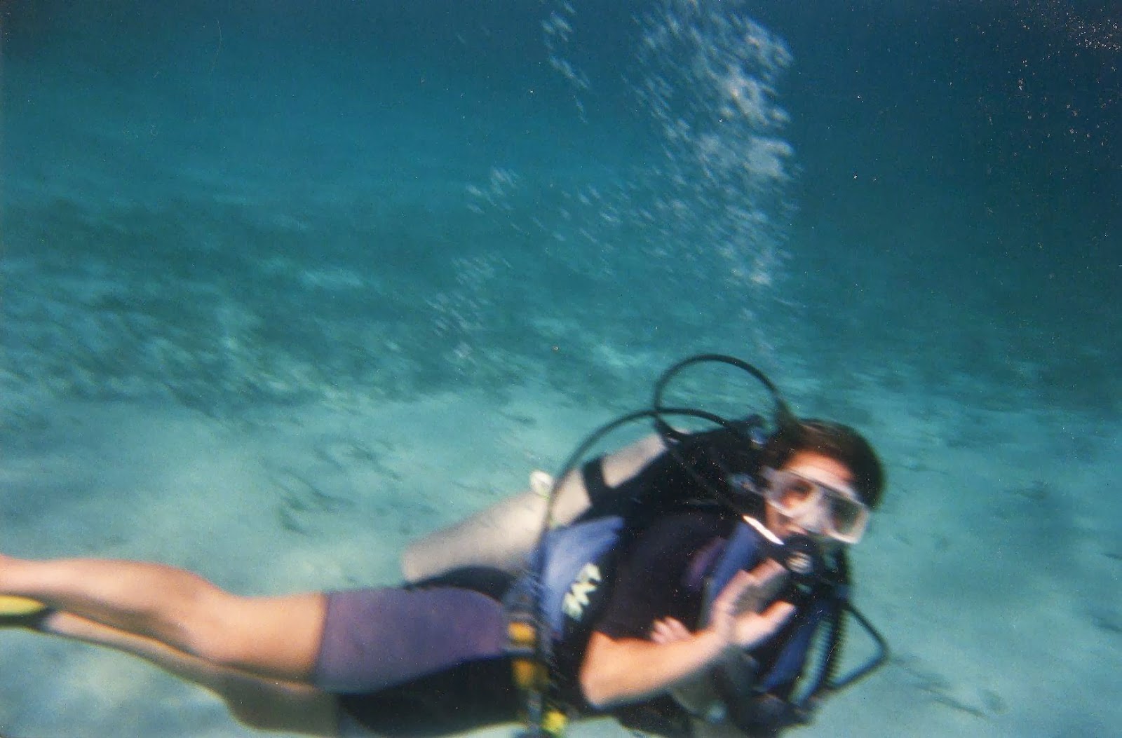 Guest Post: Lisa Doan on Writing Humor: When Worlds Collide…