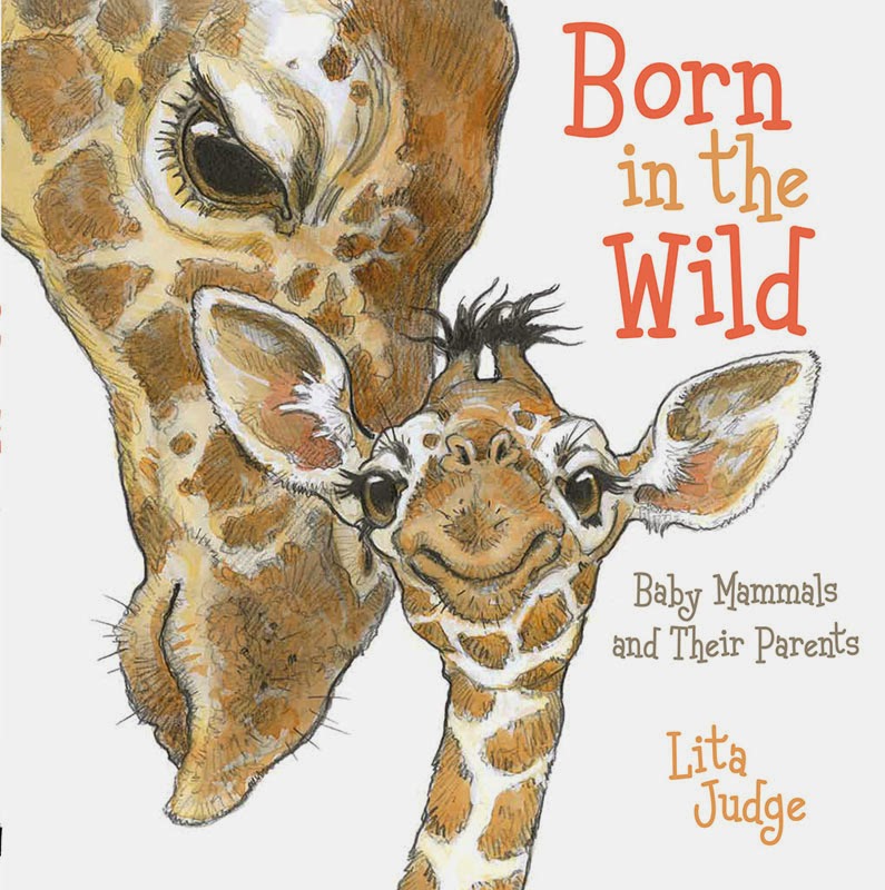 Author-Illustrator Interview: Lita Judge on Born in the Wild: Baby Mammals and Their Parents