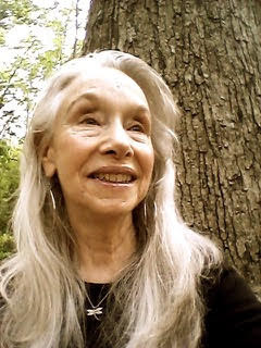 Author and teacher Louise Hawes